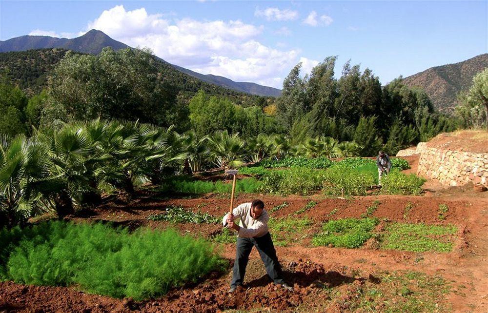 Moulay Brahim Domaine Malika酒店 外观 照片